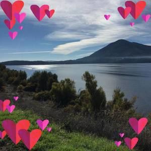 Meet your Posher, Wilma